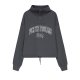 Свитшот Half-zip MEDOOZA «FTP College» (W) (графит)